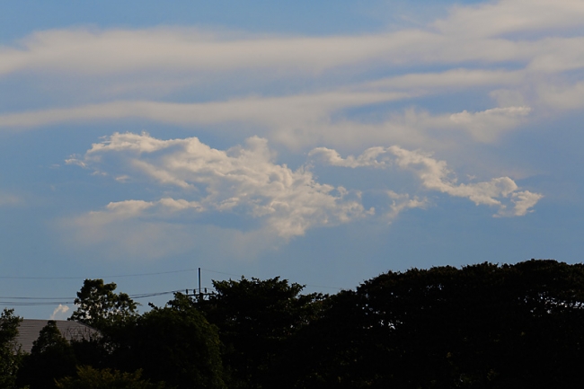 Suan Luang-JUN14-033